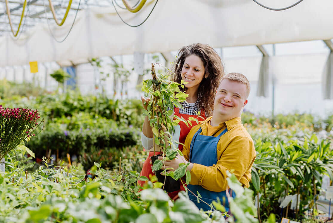 Ndis best sale gardening services