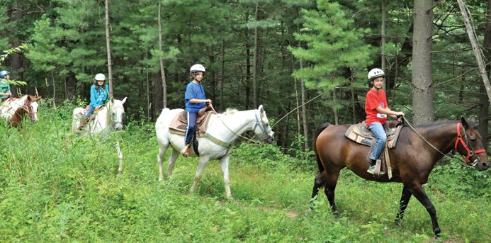 Activities like camps, art programs and horse riding